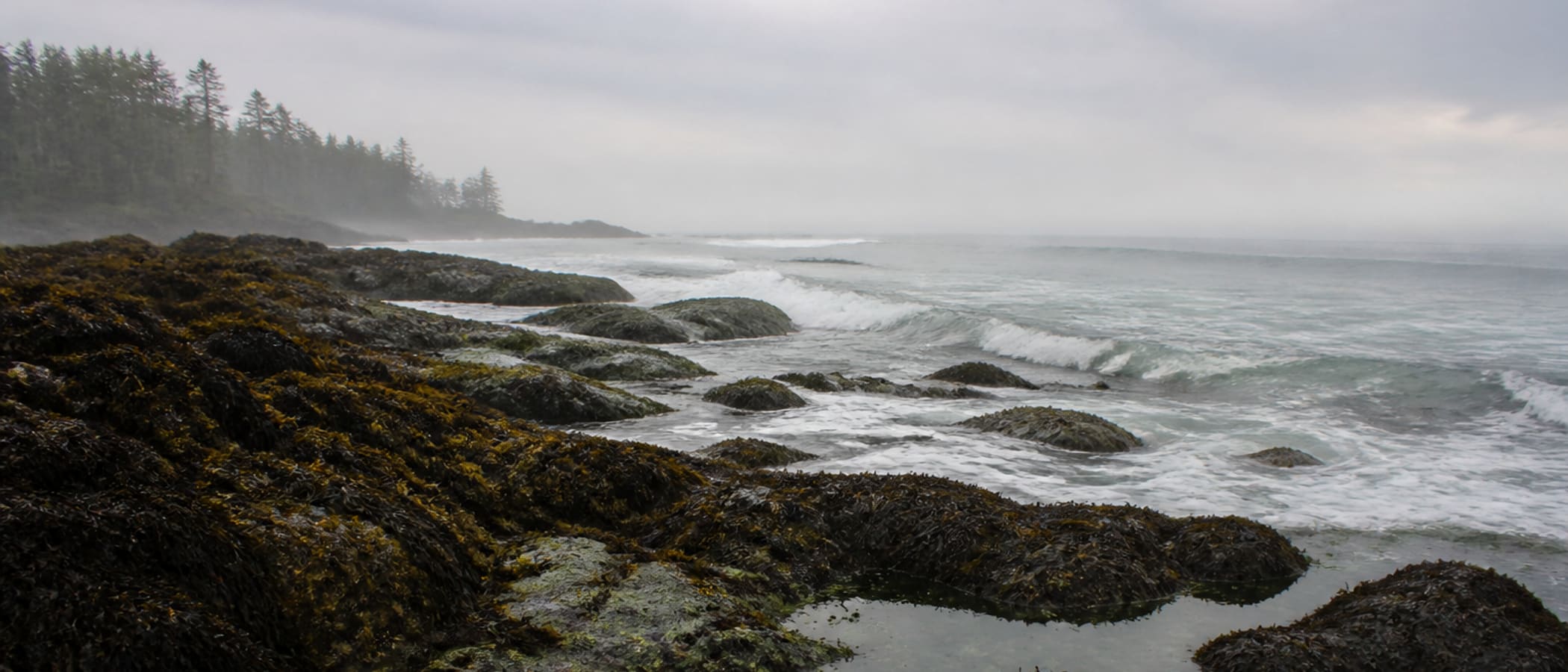 Rocky coastal shoreline with tide pools and sea mist, the coastal survival environment ruled by tides and salt water
