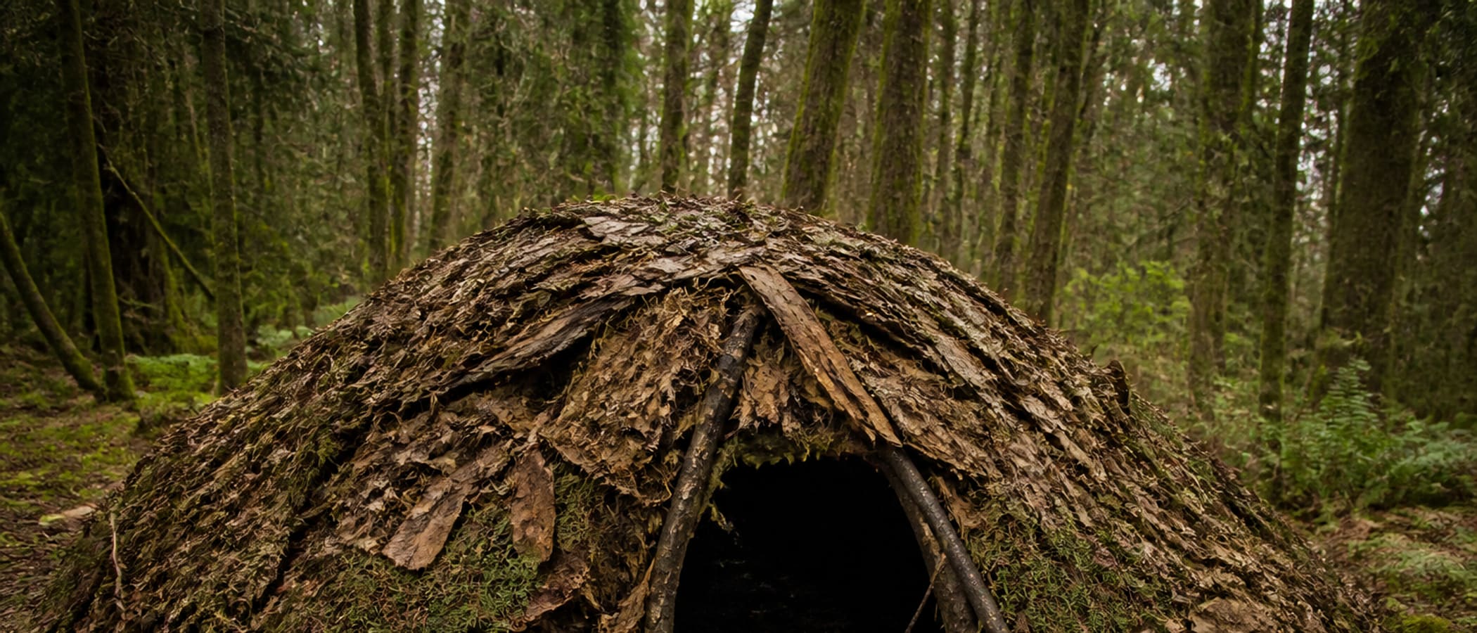 Primitive debris hut of leaves and branches in a woodland clearing