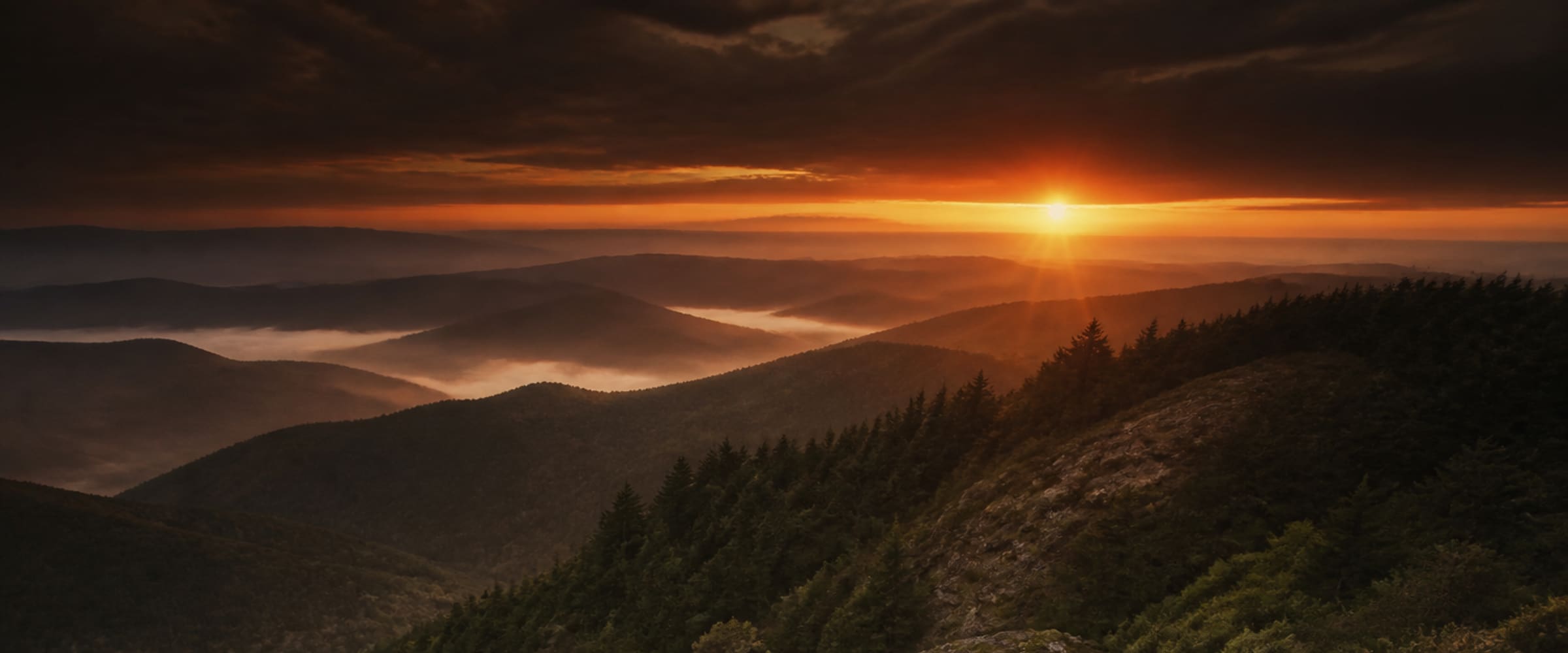 Forested mountain ridgeline at sunset, the kind of wilderness terrain a Primitive Survival Rating measures you against